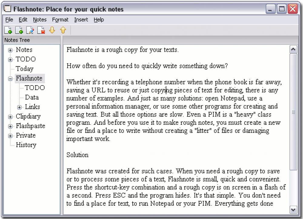 Flashnote 4.7 (Freeware 2.70Mb)