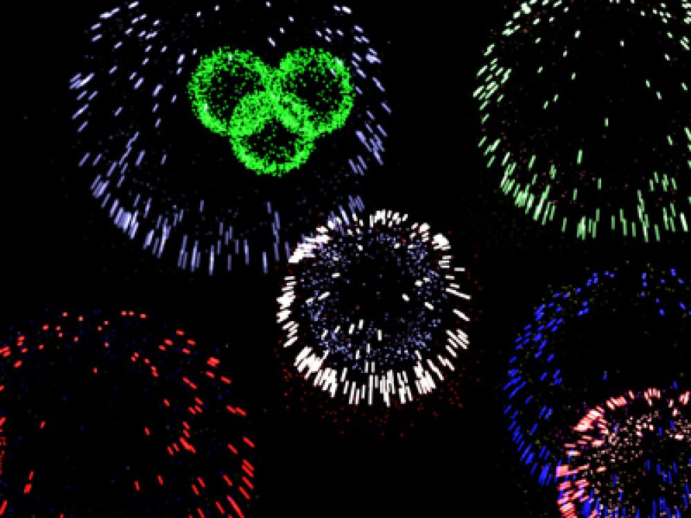 Fireworks 3D Screensaver 2.0 (Freeware 1.54Mb)