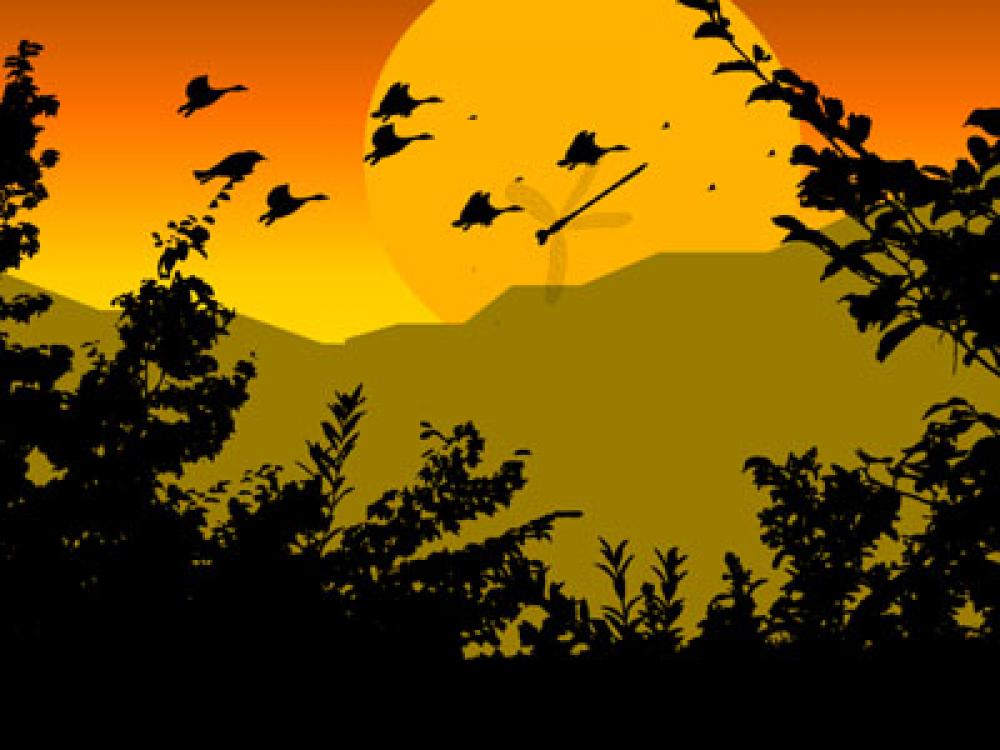 Paradise Birds Screensaver 2.0 (Freeware 1.58Mb)