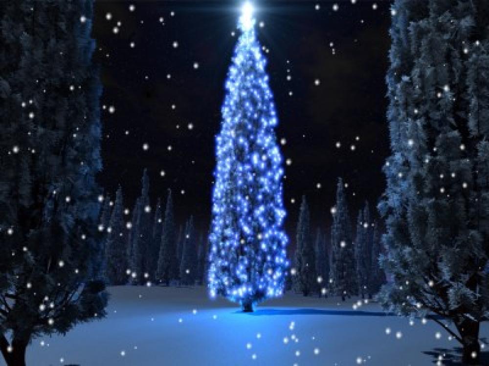 Holiday Tree Screensaver 2.2 (Freeware 2.75Mb)