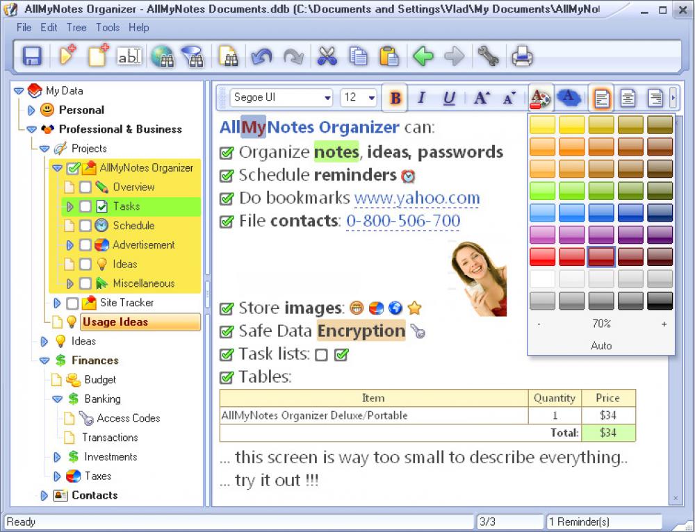 AllMyNotes Organizer Deluxe Edition 3.24 (Shareware 5.07Mb)