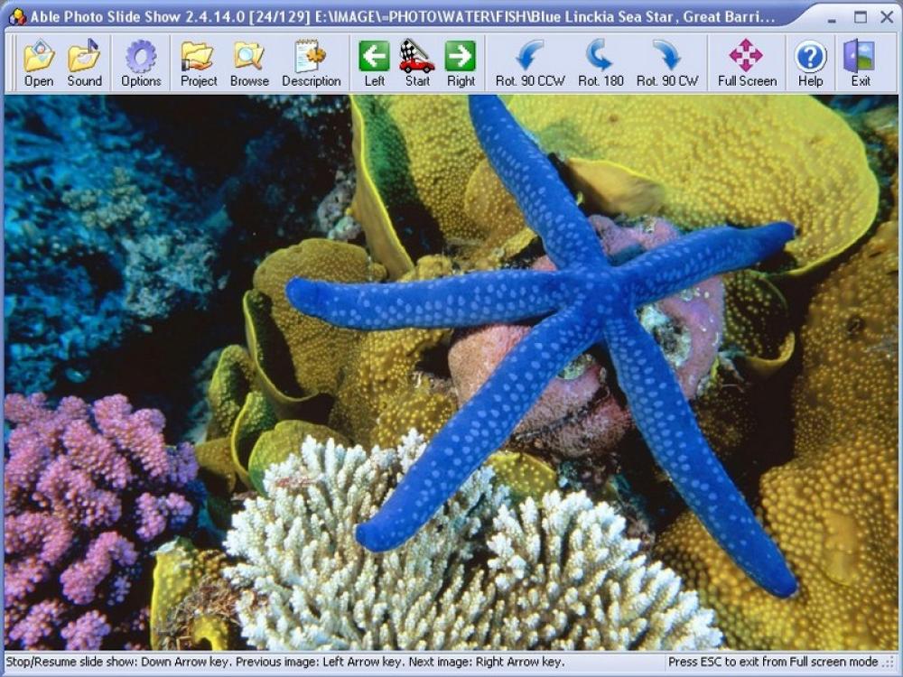 Able Photo Slide Show 2.18.4.19 (Shareware 21.01Mb)