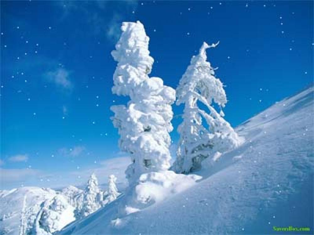 SaversPlanet Snowfall Screensaver 4.2 (Freeware 1.71Mb)