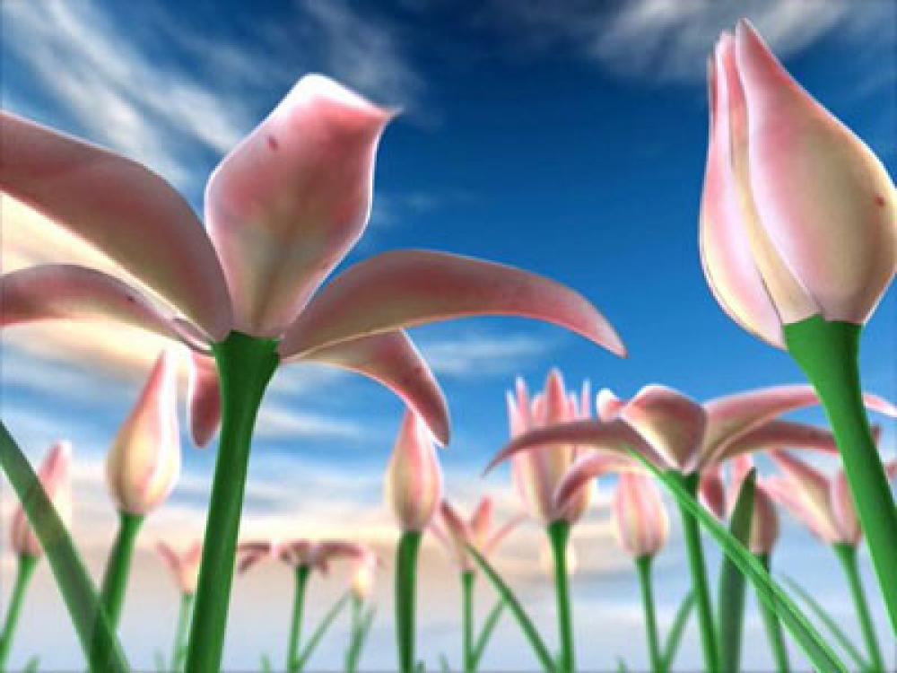 Flowers Meadow 3D 2.0 (Freeware 13.12Mb)