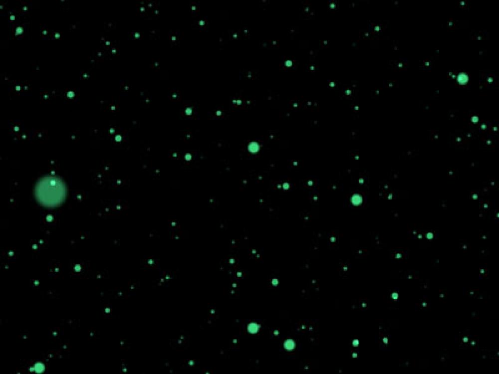 Particles 3D Screensaver 2.0 (Freeware 1.04Mb)