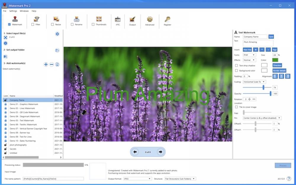 iWatermark Pro 2 for Windows 4.0.24 (Shareware 191.11Mb)